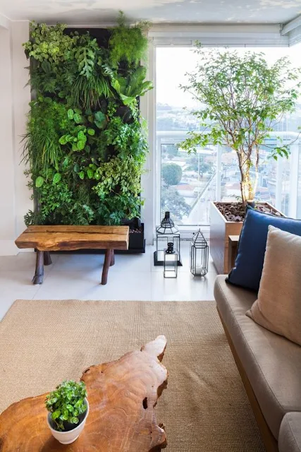 Jardim vertical: Crie uma parede verde com diferentes tipos de plantas.