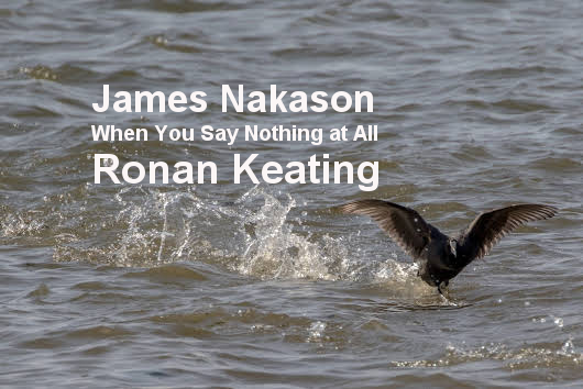 When You Say Nothing at All (Cover Version of Ronan Keating)