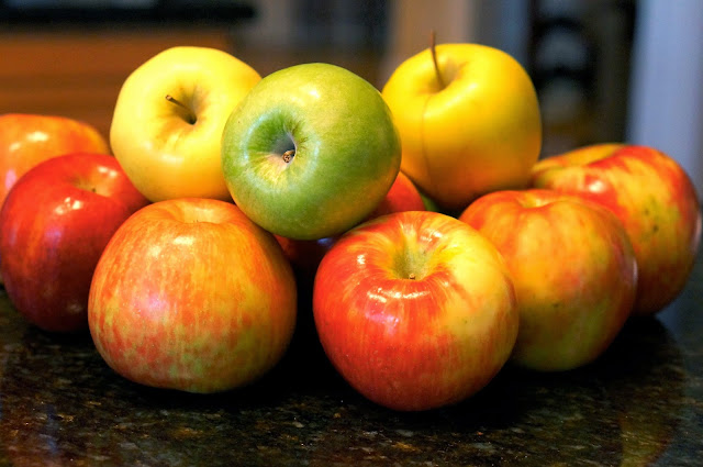 Freezer Apple Pie Filling, Food Saver