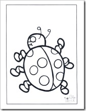 insectos (5)