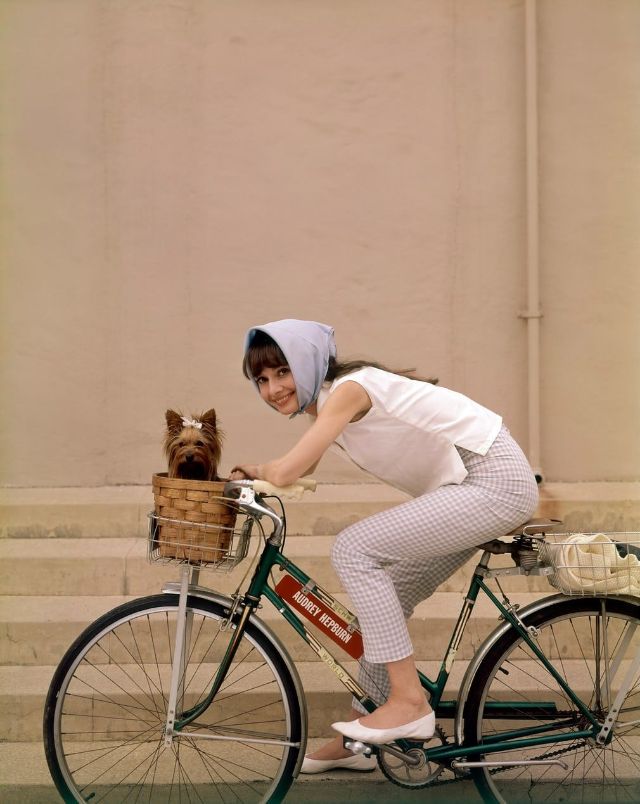 bicyclette epoque