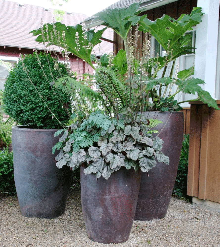 Large Pots For Plants