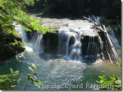 lewis river falls 27