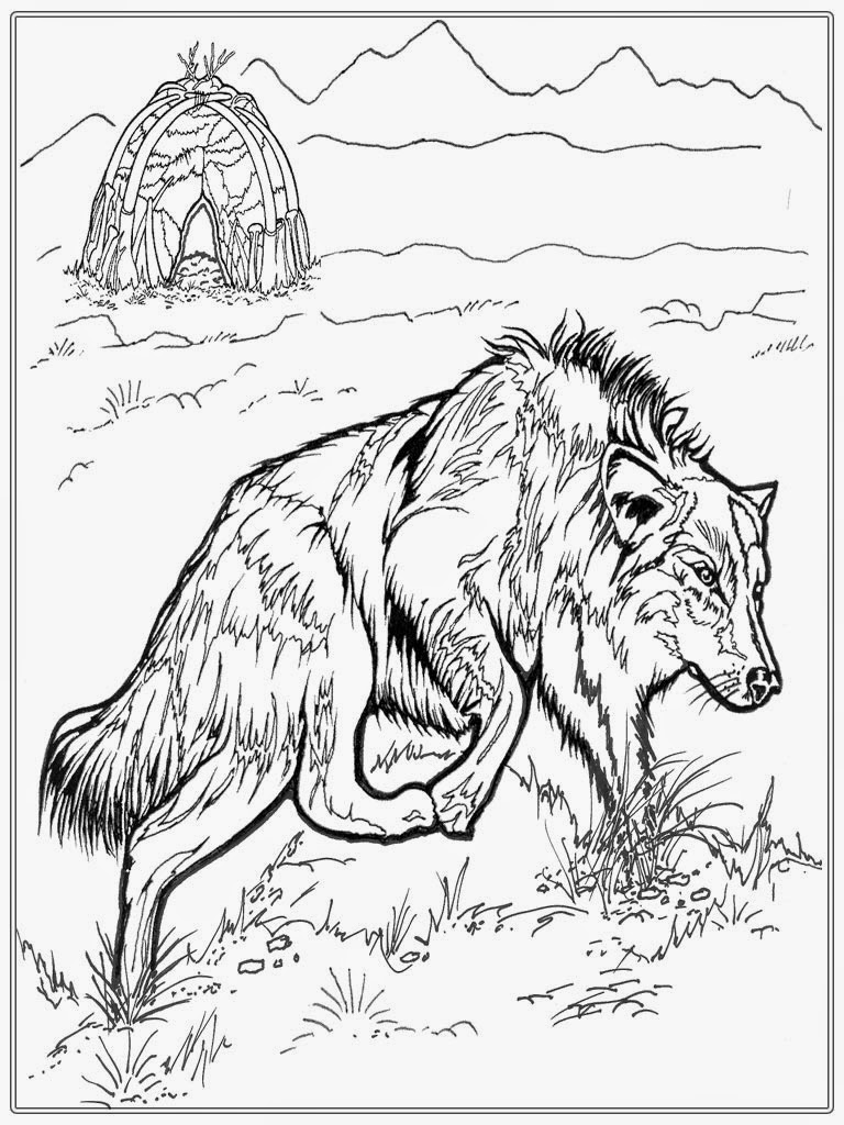 Realistic Wolf Adult Coloring Pages Realistic Coloring Pages