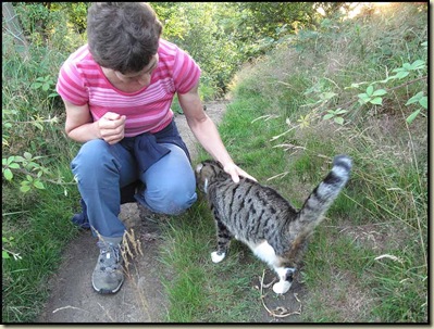 1515cat