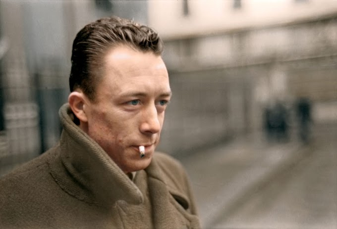 Frases de Albert Camus