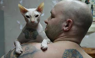 sphynx cat tattoo skin