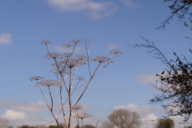 Best UK photography blog Norfolk countryside