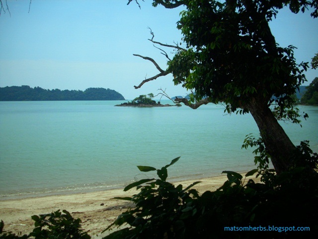 JENDELALIMA TRADING : DI TEPIAN PANTAI PASIR LANUN PENYABUNG