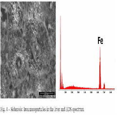 Incinerators and Nanopathology