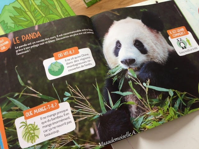 || Kit Créatif Pandacraft : Les pandas (Présentation & Avis)
