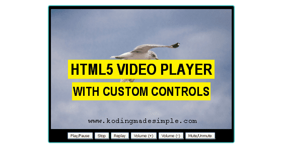 Html5 Video Player With Custom Controls Using Javascript