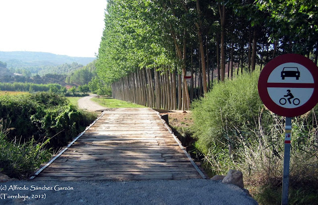 vera-cruz-camino-puente-guerrero