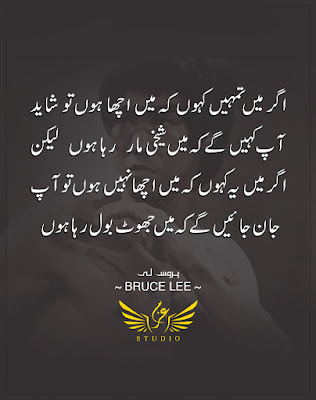 bruce lee quotes in urdu