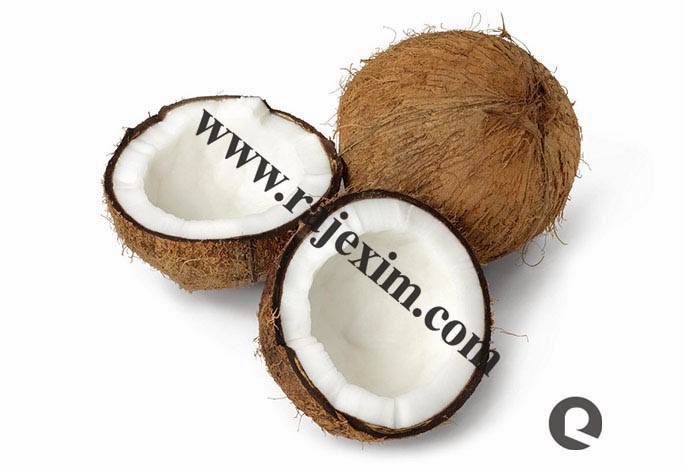 http://www.rajexim.com/coconut-supplier.php