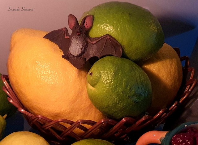 Pipistrello e limoni per la Vigilia di Ognissanti - Halloween