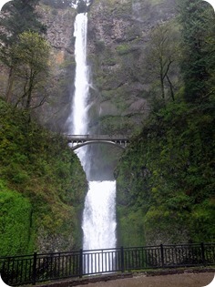 IMG_3554