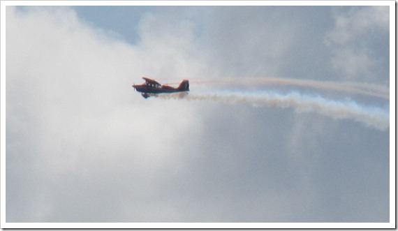 Stunt Plane Red White Blue Stripe   John Black Super Decatlon (8)