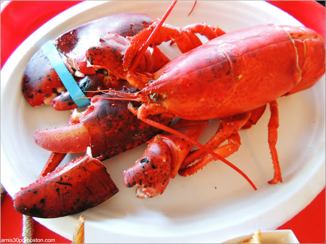 The Lobster Pool Restaurant: Langosta Caparazón Duro