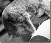 20081217_JB_0456