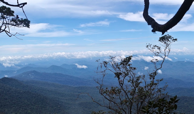 Mendaki Bukit Raya Dari Kota Palangka Raya