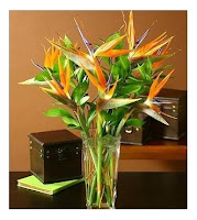 Birds Of Paradise Bouquet