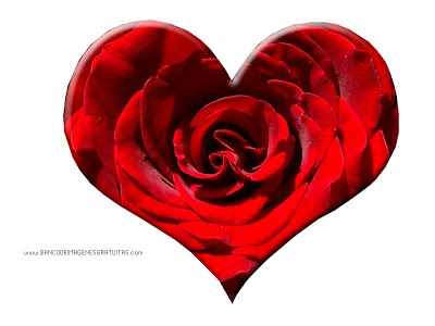 Imágenes de corazones para el 14 de febrero día del amor y la amistad - Love hearts
