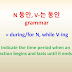 N 동안, V-는 동안 grammar = during /for N, while V-ing