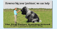 Dog Father Training5