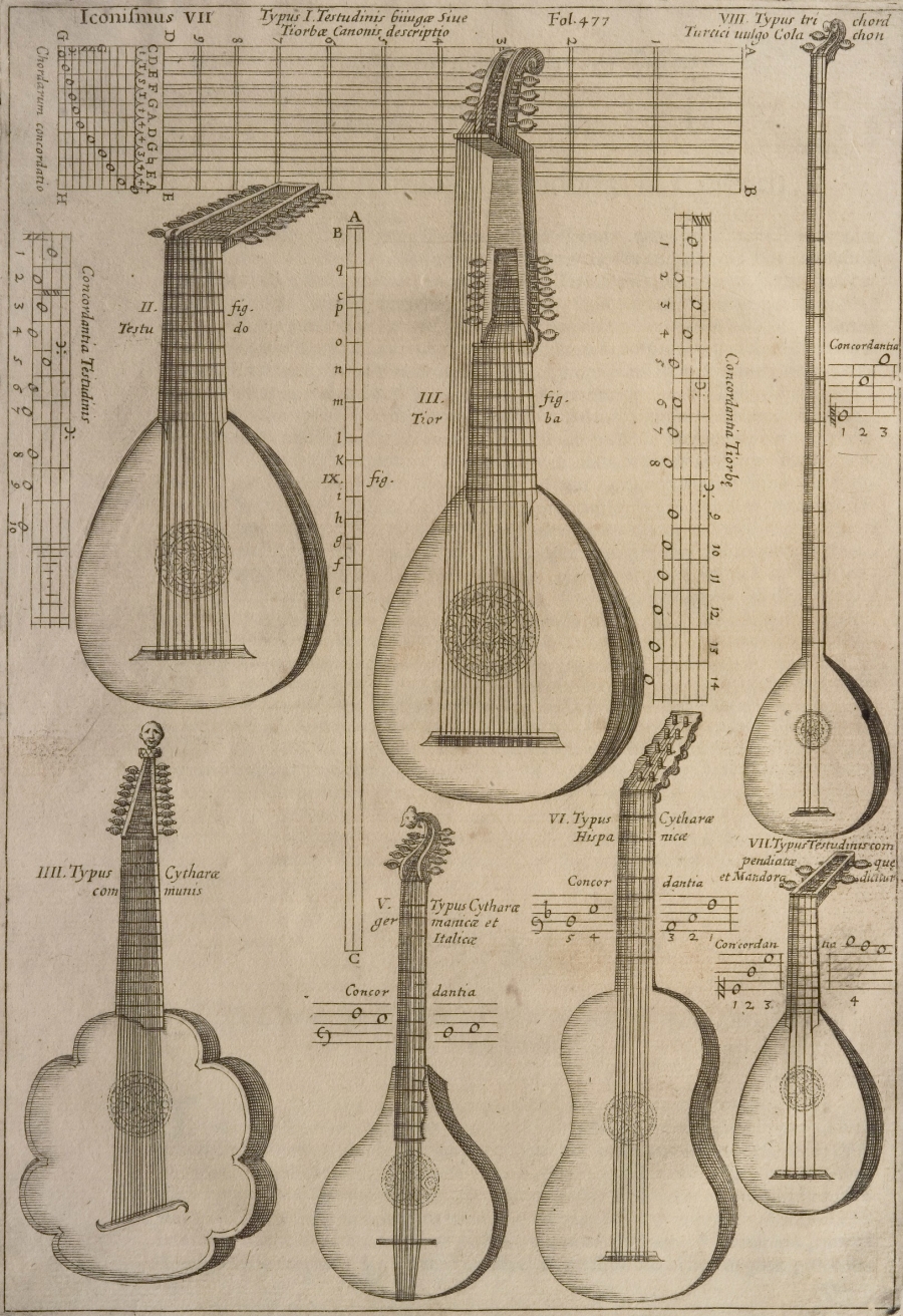 stringed instruments