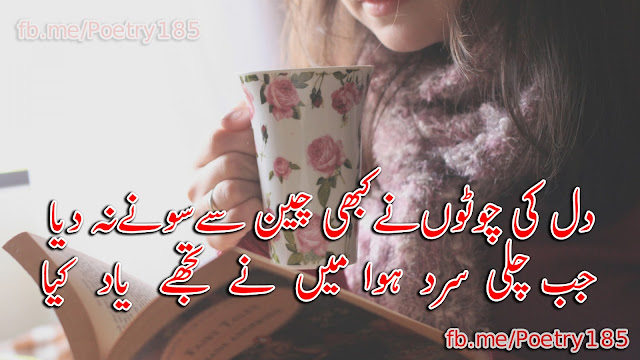 Urdu Poetry Love