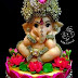  Cute ganpati ji Wallpaper Hd