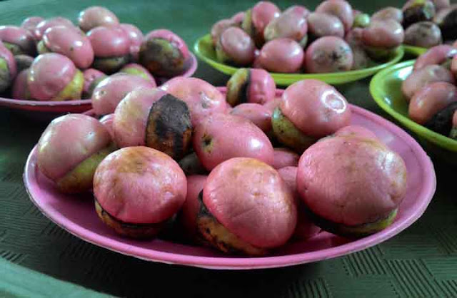 Manfaat Buah Kalangkala Untuk Kesehatan