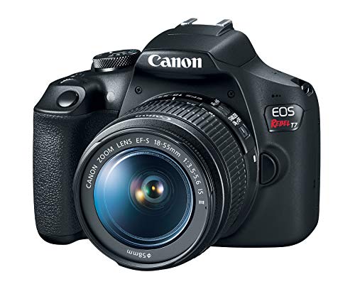 Canon EOS Rebel T7 DSLR デジタル カメラ レビュー