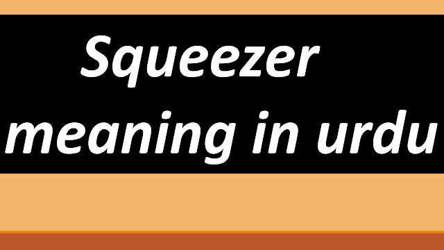 Squeezer meaning in urdu