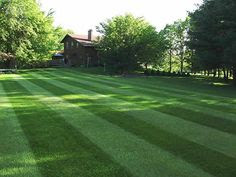 Lawn Care Service Narre Warren South