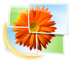 Windows_Live_Photo_Gallery