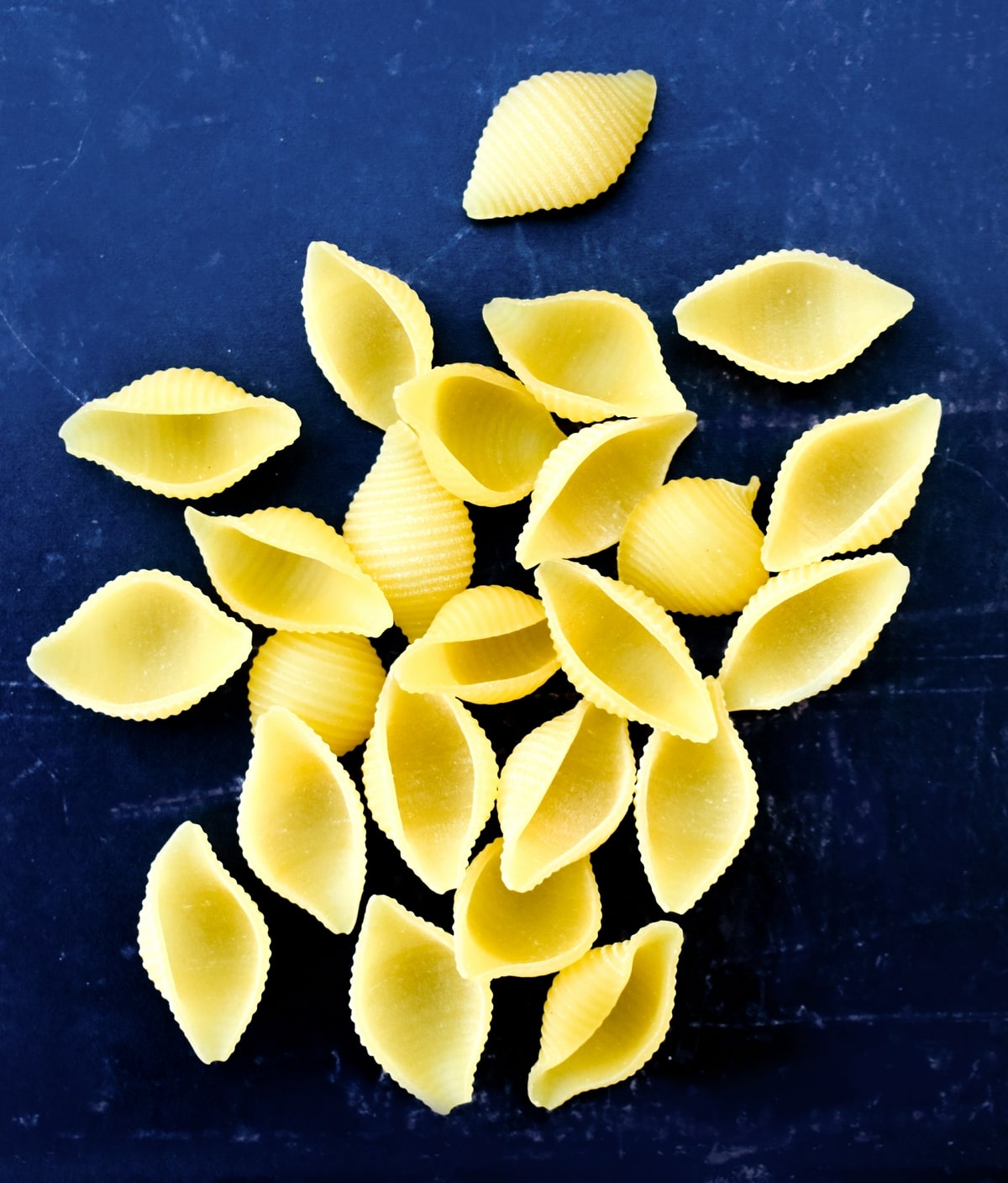 shell pasta.
