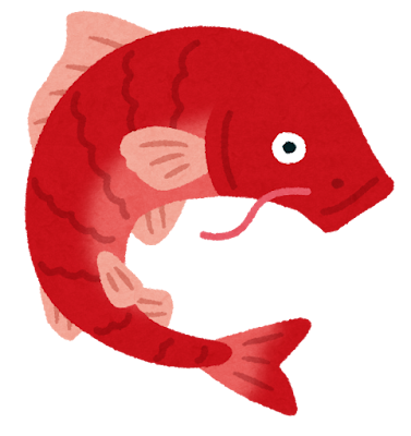 赤い鯉のイラスト