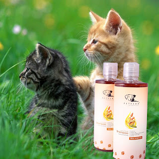 Cat Shampoo