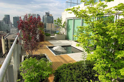 Rooftop Garden Minimalis