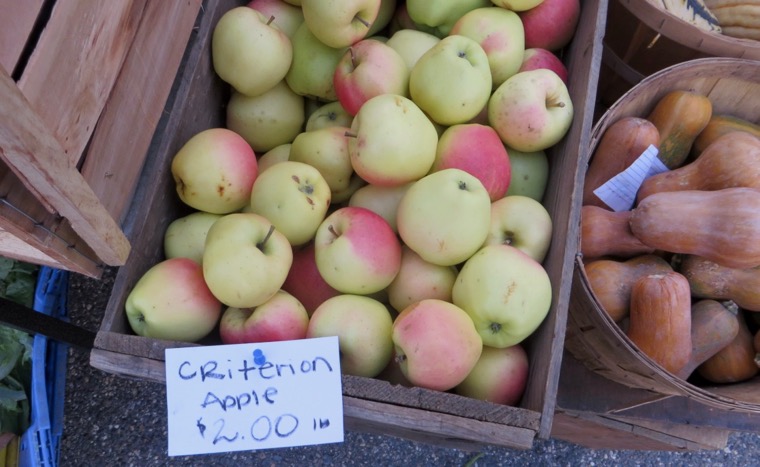 A wooden bin of yellow and orange Criterion apples, with a label that reads "Criterion Apple $2.00 lb."