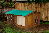 How to Build a Backyard Chicken Coop