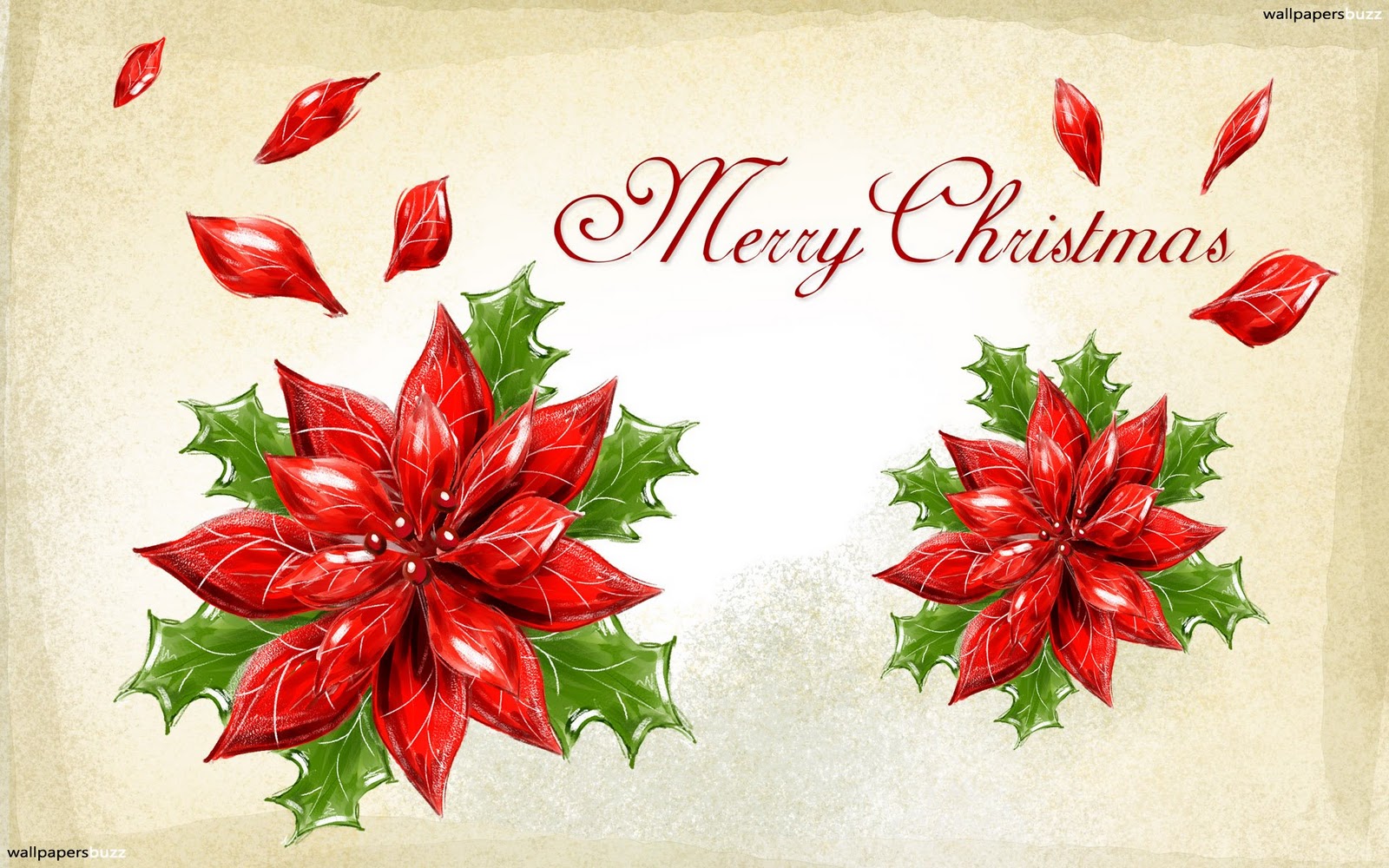 Merry christmas poinsettia hd wallpaper ~ The Wallpaper ...