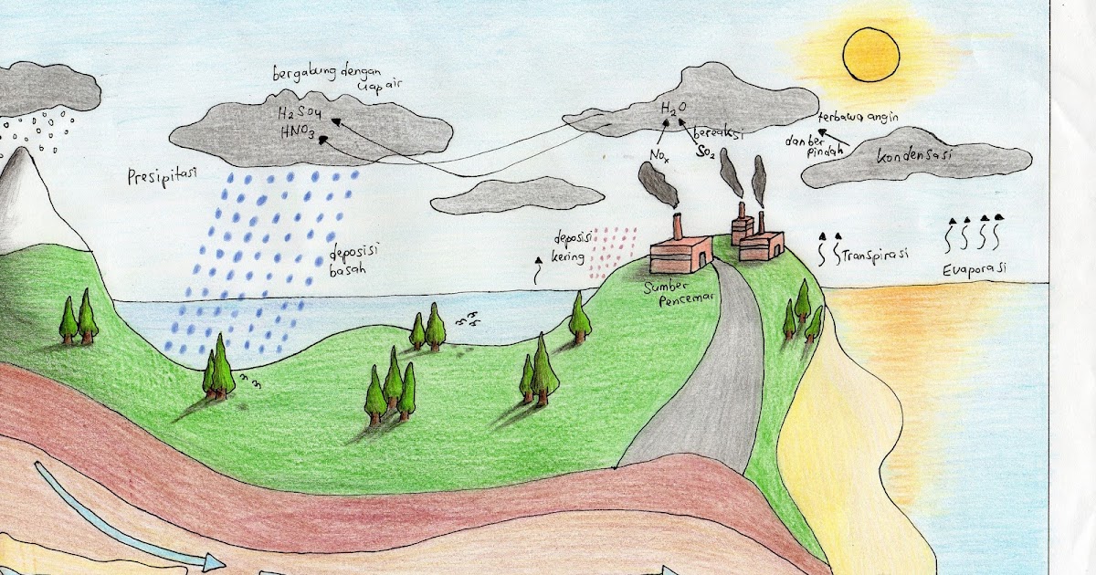 GAMBAR PROSES HUJAN ASAM/ACID RAIN ~ LET US STUDY