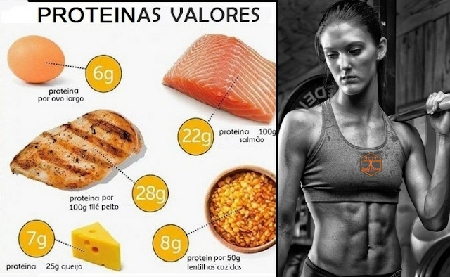 Quantidade de proteína por alimento