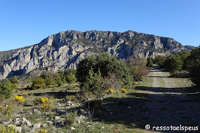 Ruta circular al Roc de Galliner, a la muntanya d'Alinyà