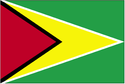 guyanese large flag