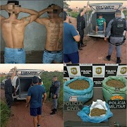 Operação das polícias Militar e Civil apreende grande quantidade de maconha e prende duas pessoas em Lagoa Grande do Maranhão.