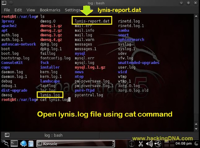 Lynis log file 